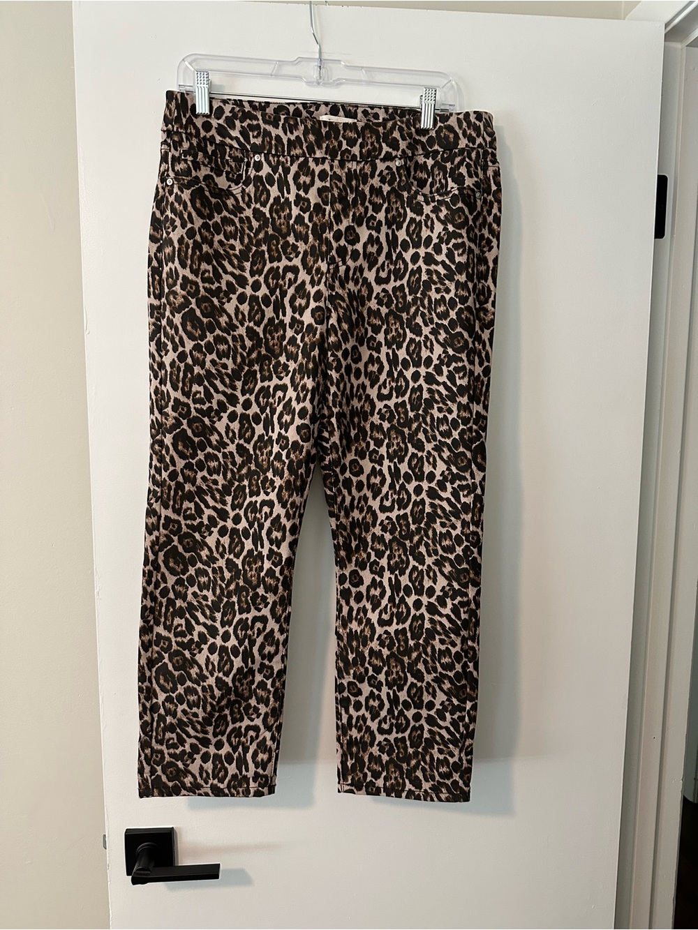 Size 8 Westbound Leopard Print Pants - Brown and Black